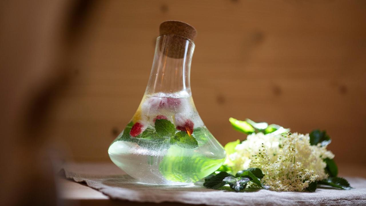 Natura Boutique Chalet Wellness Spa Доббиако Экстерьер фото